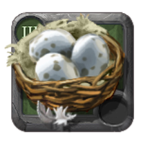 Hen Eggs