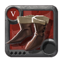 Expert's Assassin Shoes